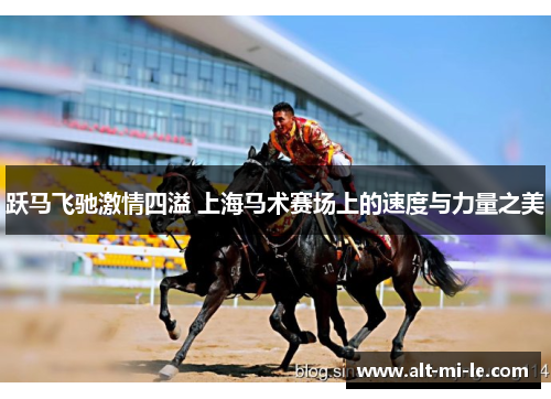 跃马飞驰激情四溢 上海马术赛场上的速度与力量之美 跃马飞驰激情四溢 上海马术赛场上的速度与力量之美